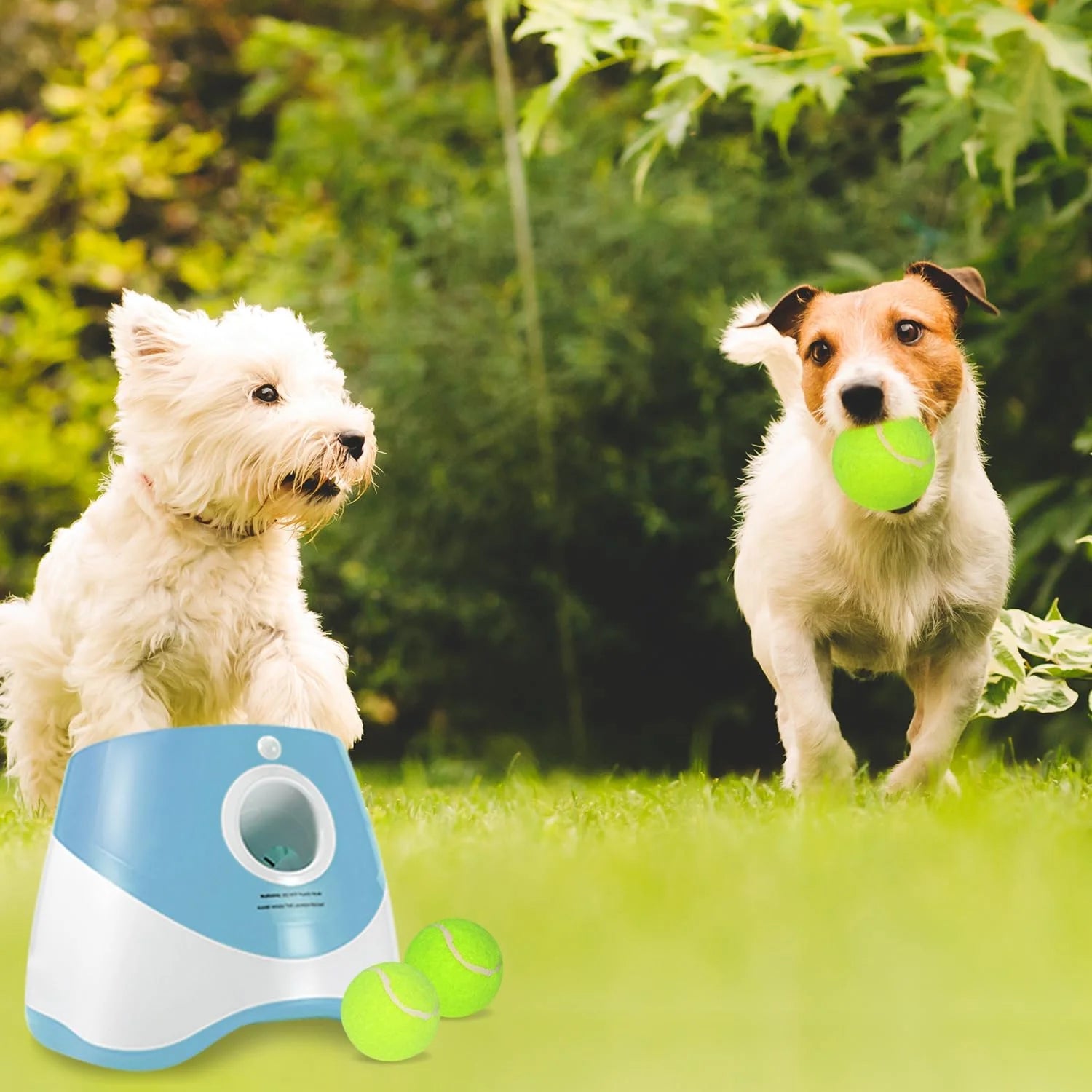 Ball Thrower for Dogs,Interactive Dog Fetch Machine,Automatic Tennis Ball Launcher with 12 Tennis Balls,Dog Ball Thrower Machine with 10-30Ft 3 Launching Distance,For Small Dogs Indoor & Outdoor